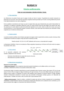 18 TEMA.pdf