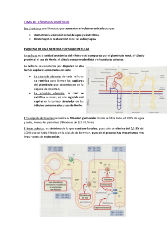 TEMA-10-FARMA-II-pdf.pdf
