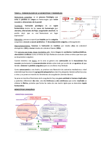 TEMA-6-FARMA-II-pdf.pdf