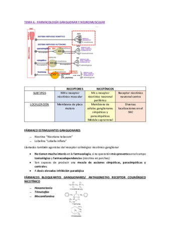 TEMA-4-FARMA-II-pdf.pdf