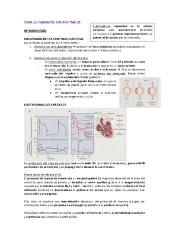 TEMA-13-FARMA-II.pdf