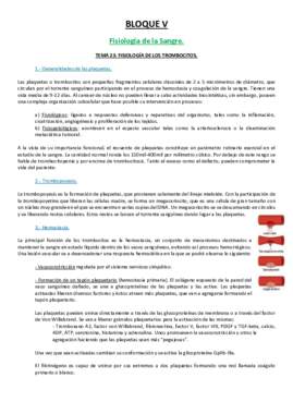 23 TEMA.pdf
