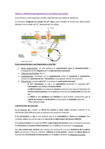 TEMA-12-FARMA-II-pdf.pdf
