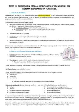 1. Sistema Respiratorio.pdf