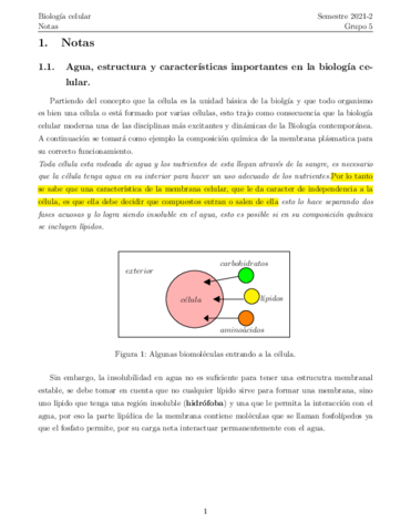 Notasbiologacelular-1.pdf