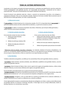 5. Sistema Reproductor.pdf