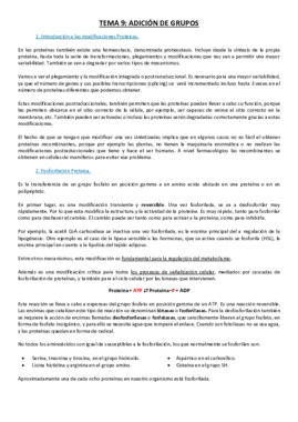 Tema 9.pdf