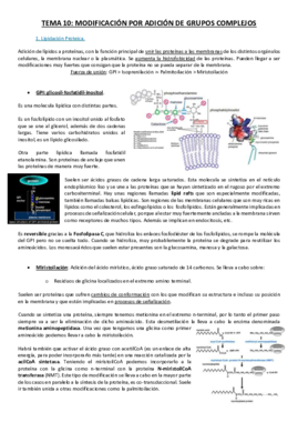 Tema 10.pdf