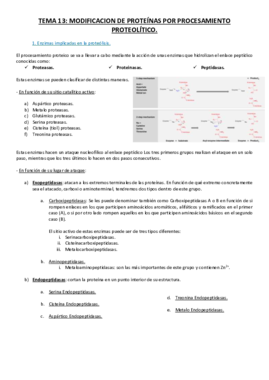 Tema 13.pdf