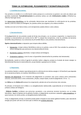 Tema 14.pdf