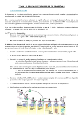 Tema 15.pdf