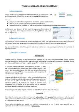 Tema 16.pdf