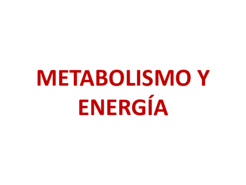 Tema-6.pdf