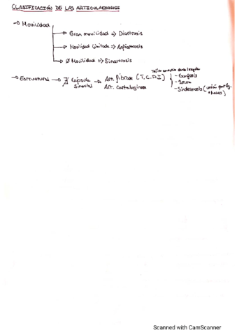 Articulaciones Miembro Inferior Anatomia I Pdf