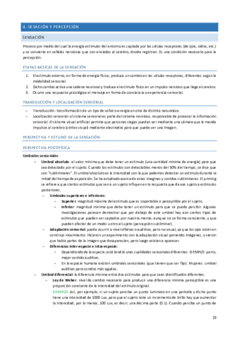 TEMA-4.pdf