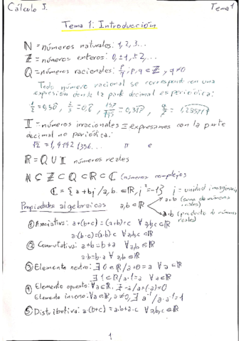 Calculo-I-Tema-1.pdf