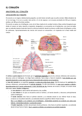 El-corazon.pdf