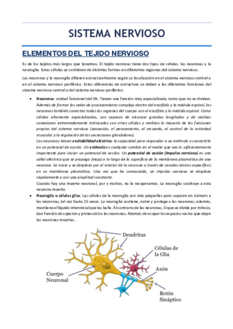 SISTEMA-NERVIOSO.pdf