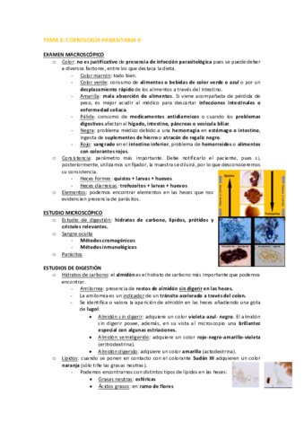 TEMA-3-PARA.pdf