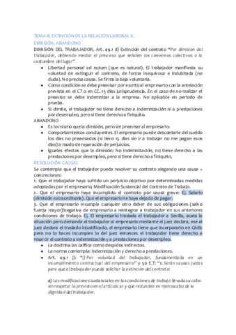 TEMA 8 y 9 DERECHO DEL TRABAJO II.pdf