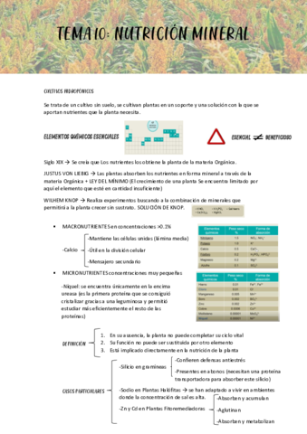 TEMA-10-Nutricion-mineral.pdf