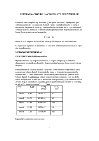 informe-constante-muelle-.pdf