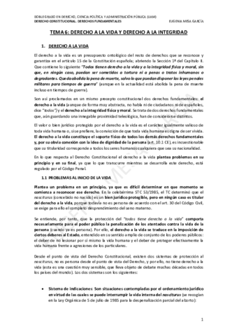 TEMA-6-DDFF.pdf