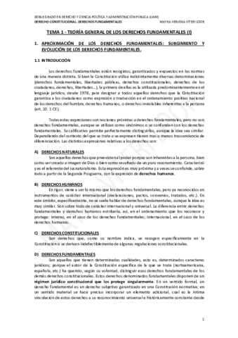TEMA-1-DDFF.pdf