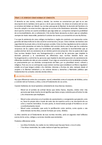 teoria-del-derecho.pdf