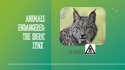 THE-IBERIC-LYNX.pdf