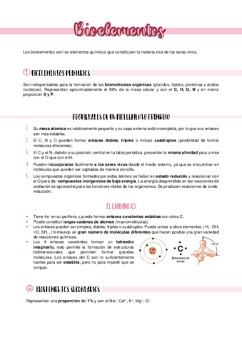 Bioelementos.pdf