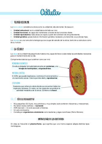 Celula.pdf