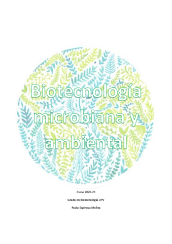 Teoria-BMA-paula.pdf