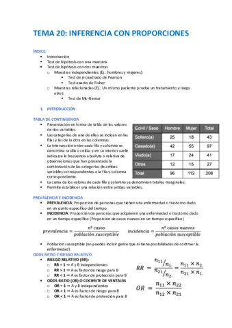 TEMA-20.pdf