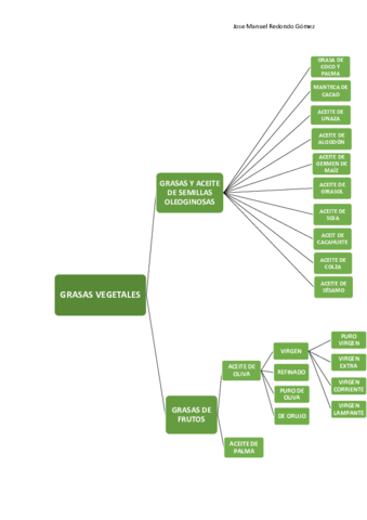 ESQUEMA-GRASAS-VEGETALES.pdf