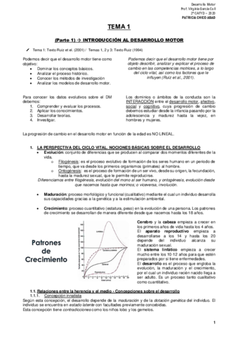 TEMARIO-DESARROLLO-MOTOR.pdf