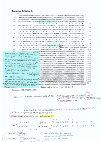 Guia-primers-a-mano.pdf