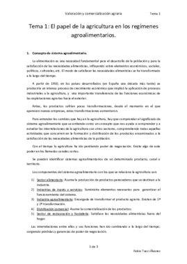 Teoría Valoración.pdf
