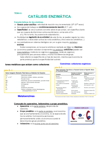 Tema-6-Catalisis-enzimatica.pdf
