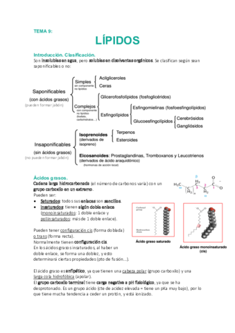 Tema-9-Lipidos.pdf