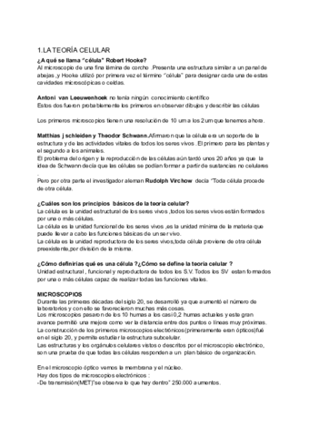 Organizacion-Celular.pdf