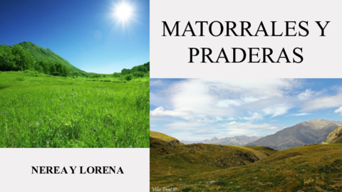 MATORRALES-Y-PRADERAS-.pdf
