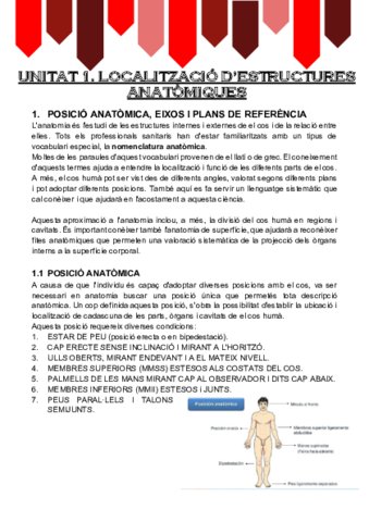 T1-Anatomia-por-la-imagen.pdf