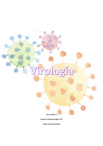 Teoria-VIR-paula.pdf