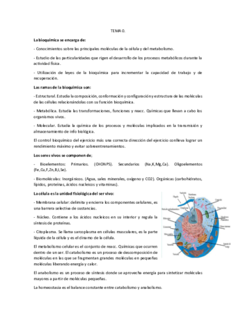 todos-los-temas-bioquimica-Matricula-honor.pdf