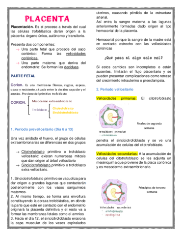 Placenta.pdf