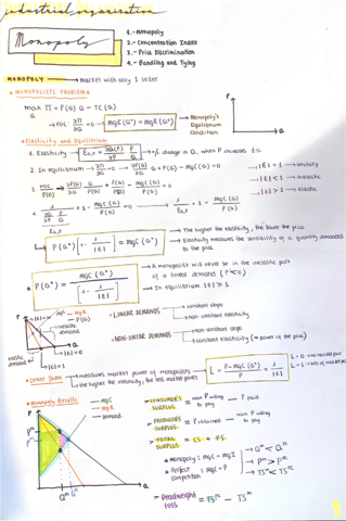 IndustrialOrganization.pdf