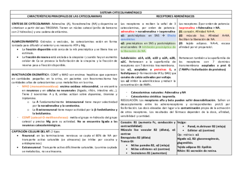 CARACTERISTICAS-PRINCIPALES-DE-LAS-CATECOLAMINAS.pdf