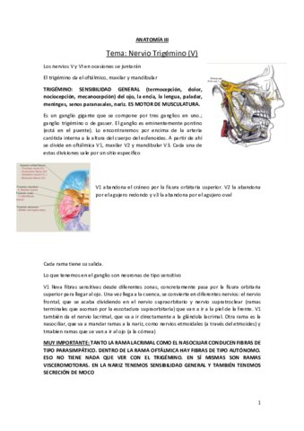 Tema-trigemino.pdf