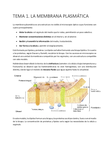 Biologia-Celular.pdf